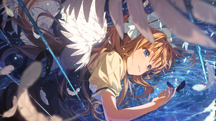 St. Louis WG21 会议回顾